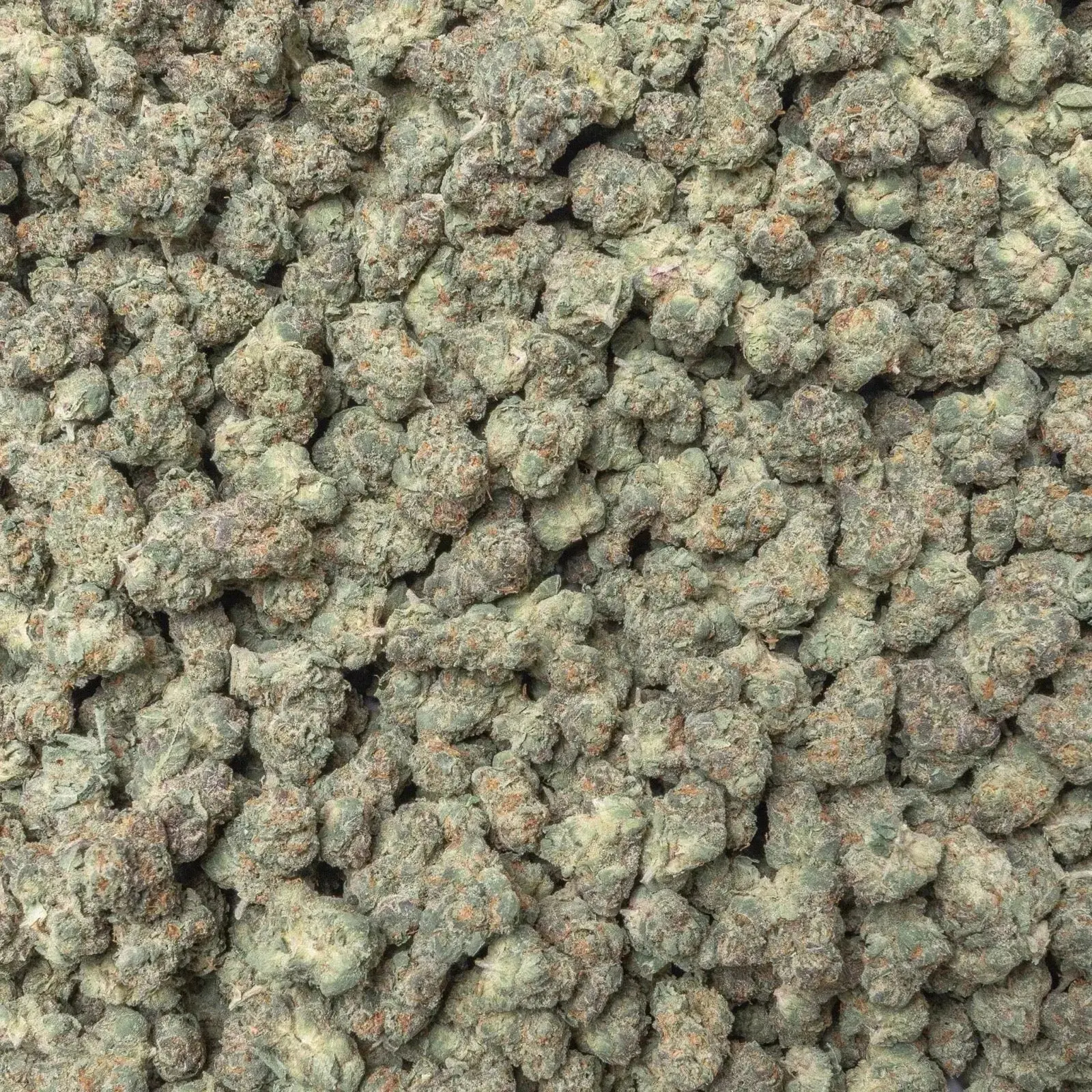 Blue Lobster Smalls THCa Flower Ounce