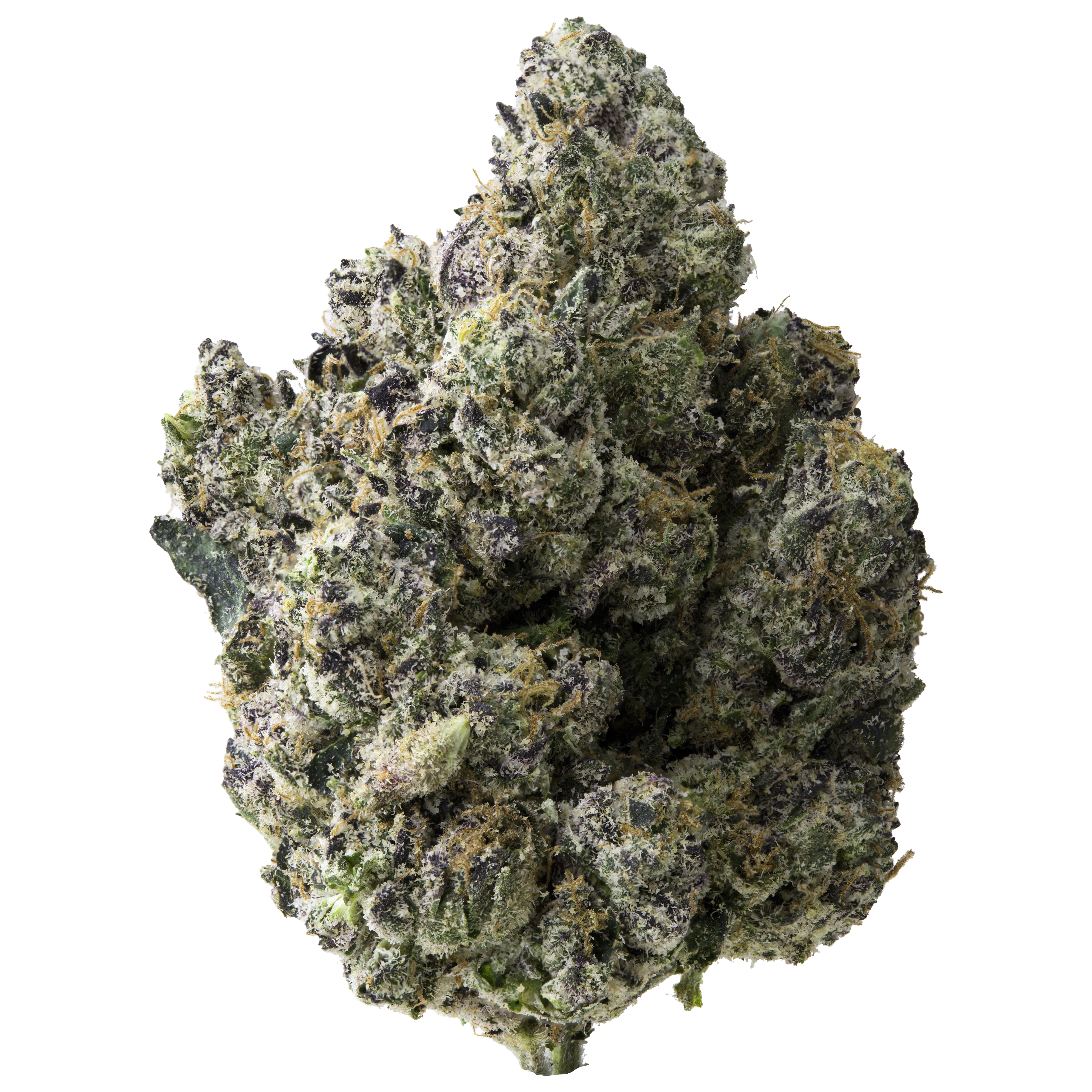 Blue Runtz THCA Flower - Image 2