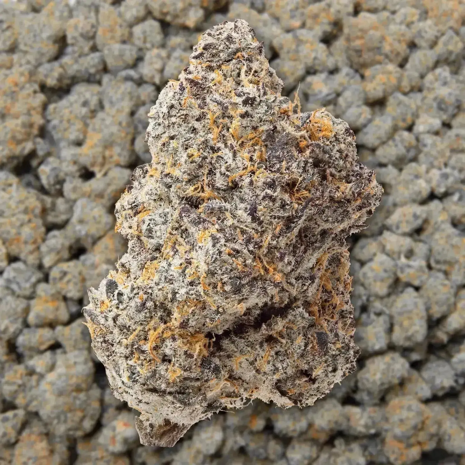 Blue Zooties Exotic THCa Flower Ounce - Image 3