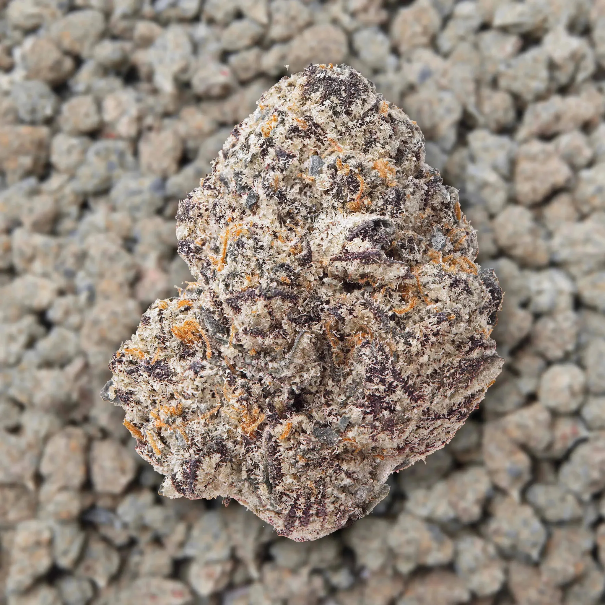 Carbon Fiber Smalls THCa Flower Ounce - Image 2