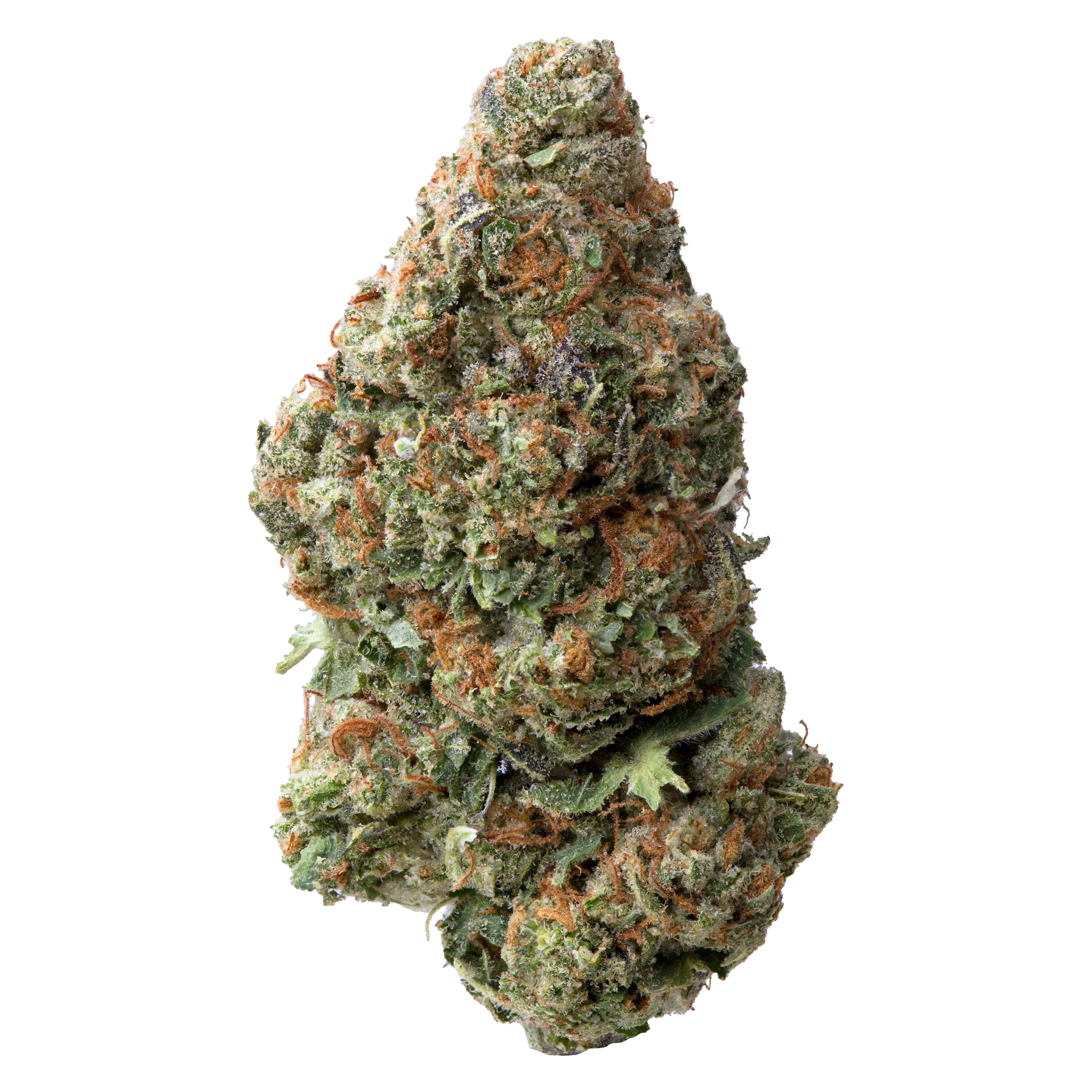Garlic Cookies THCA Flower | 28 Grams - Image 4