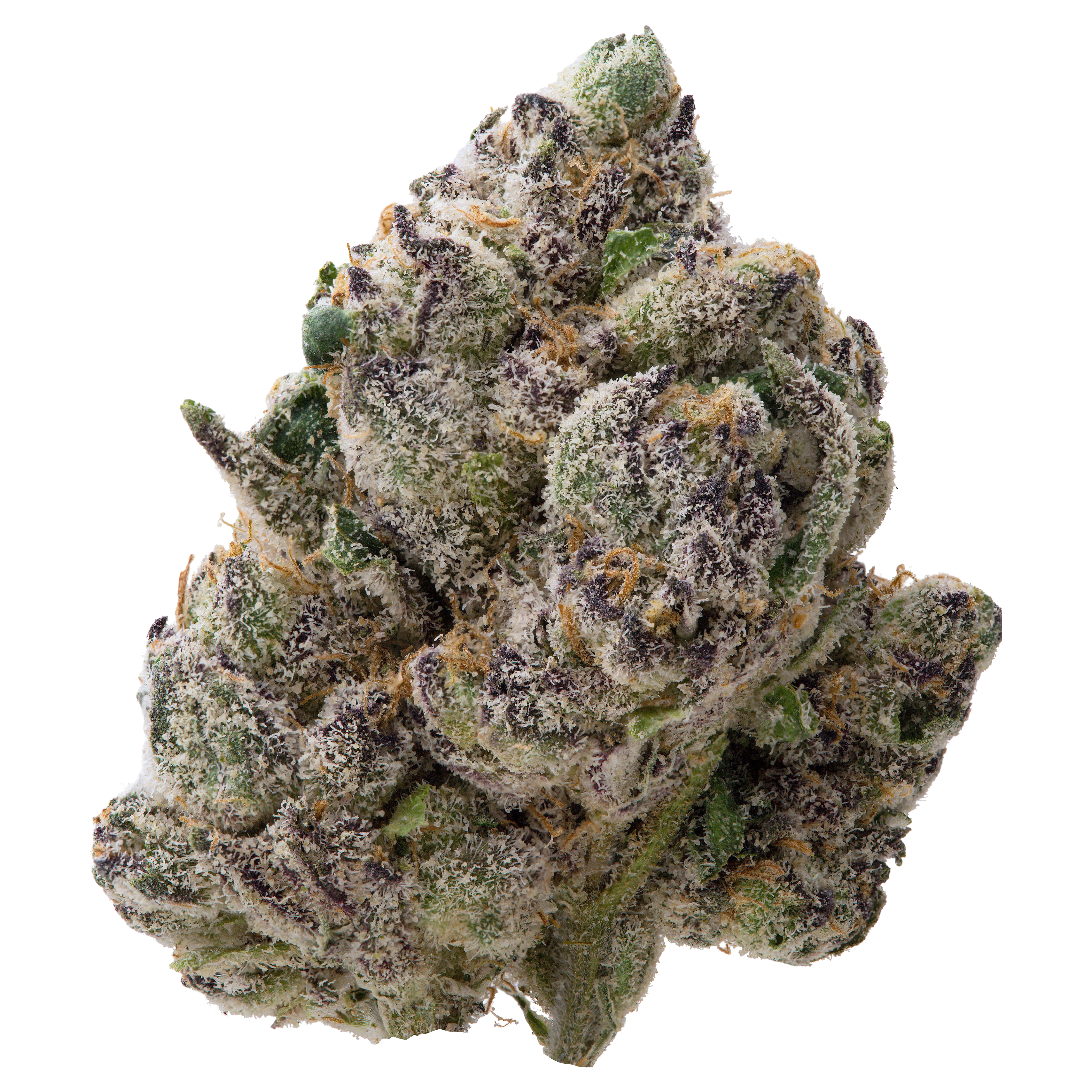 Gelato THCa Flower - Image 3
