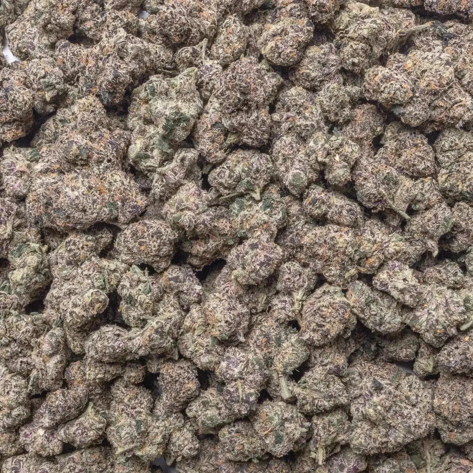 GMZ Exotic THCa Flower - Image 3