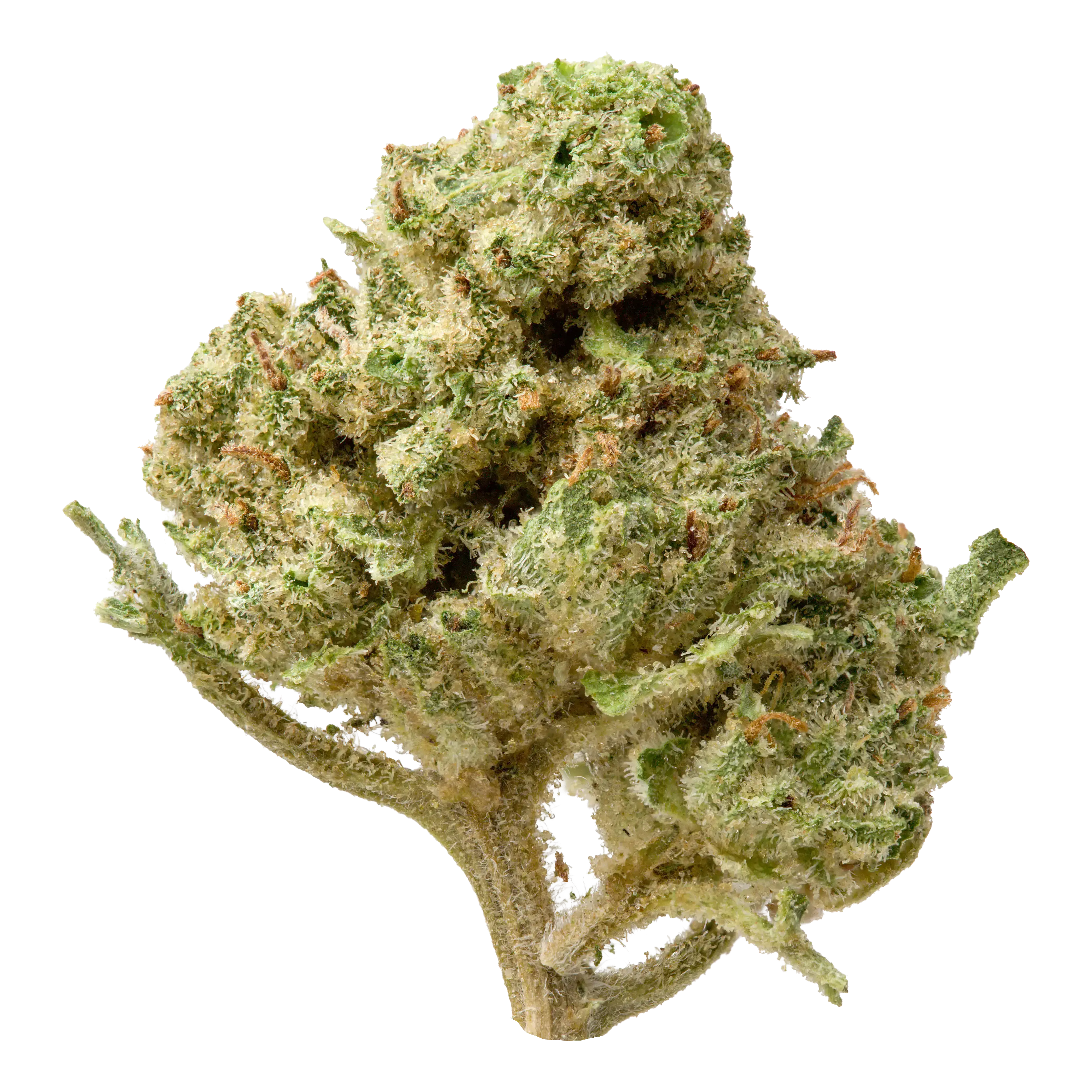 Greenhouse THCa Smalls - Image 9