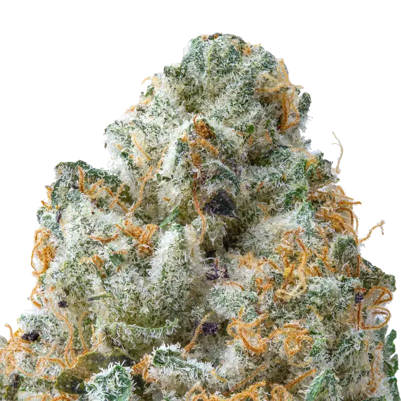 Guava THCa Flower Ounce