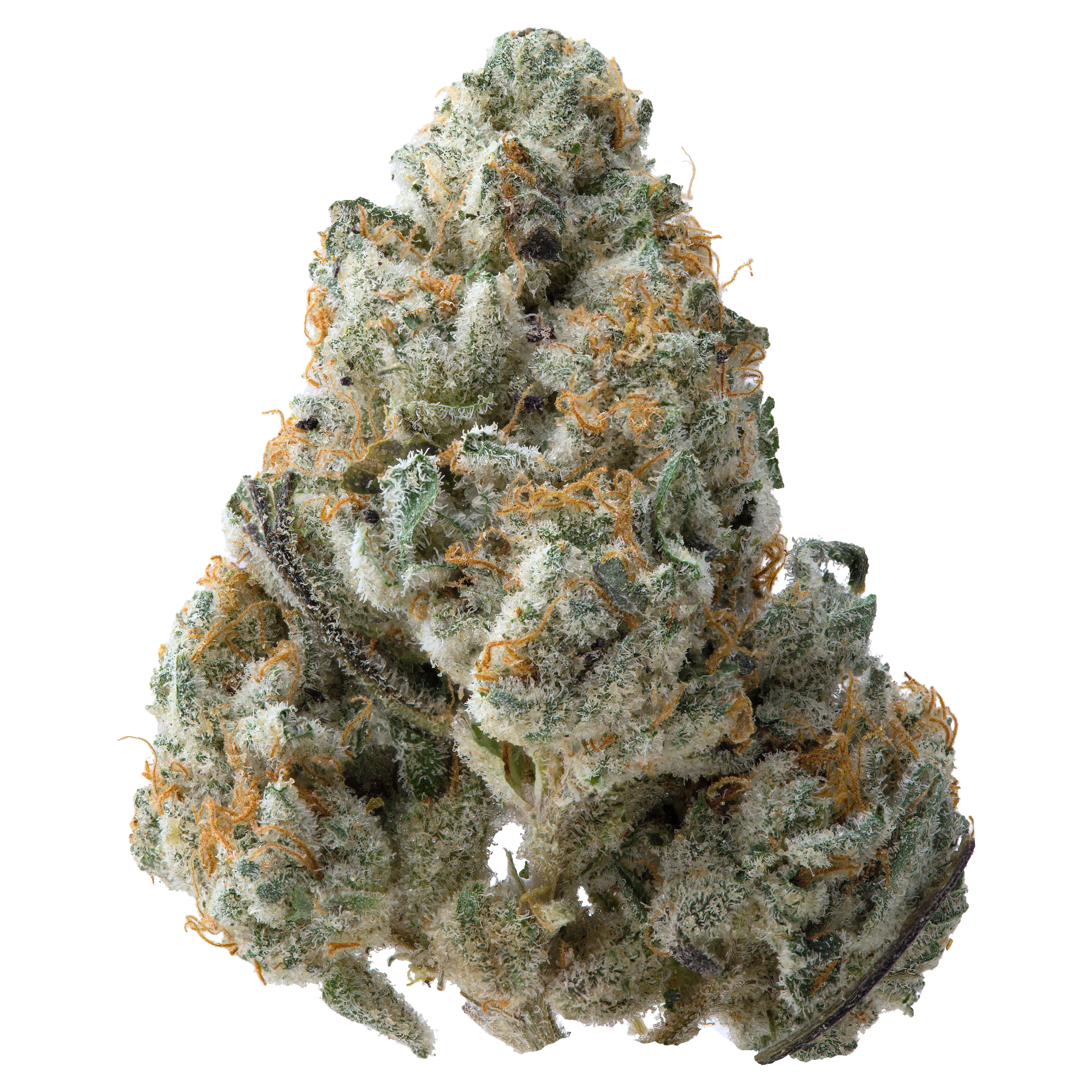 Guava THCa Flower Ounce - Image 2