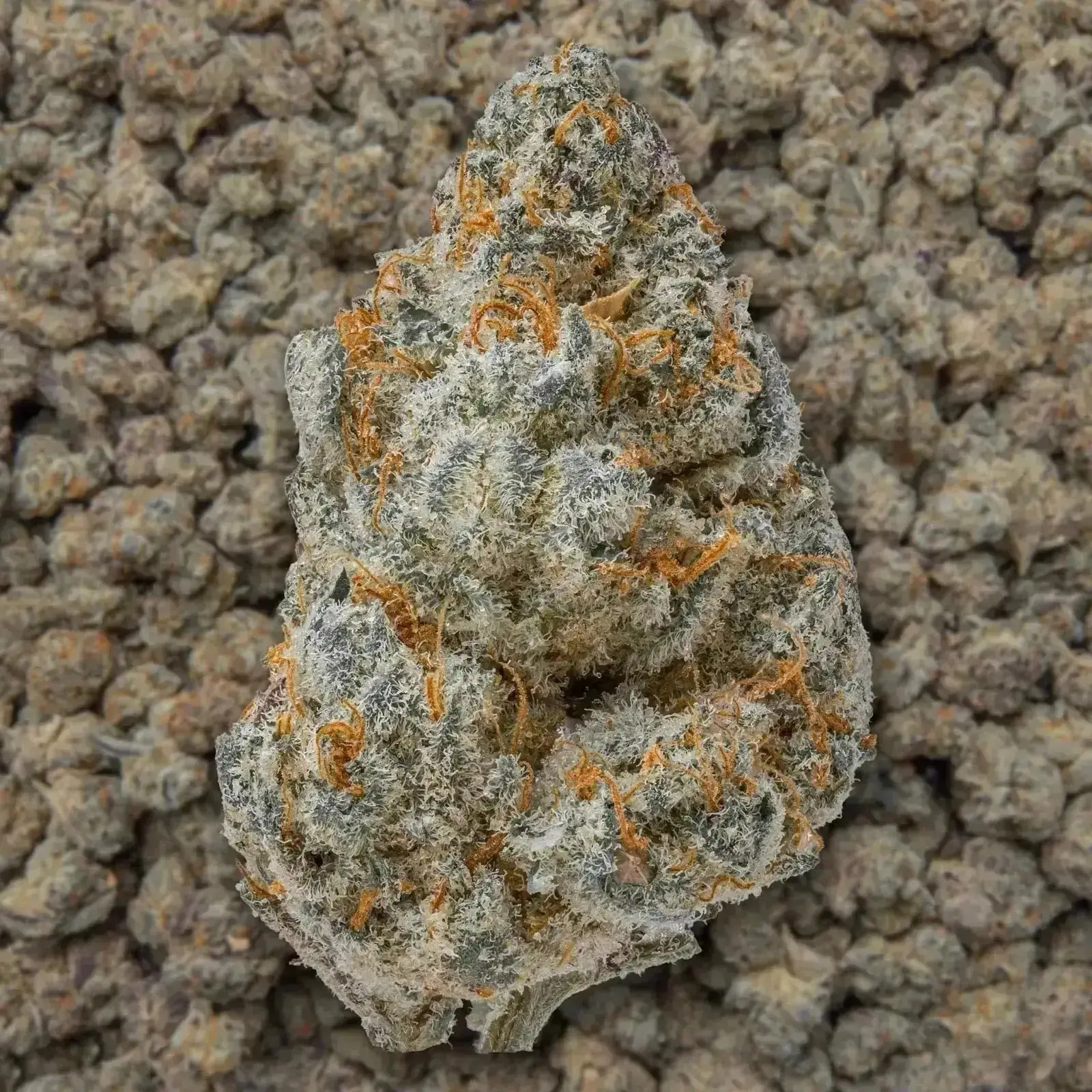 Guava THCa Flower Ounce - Image 3
