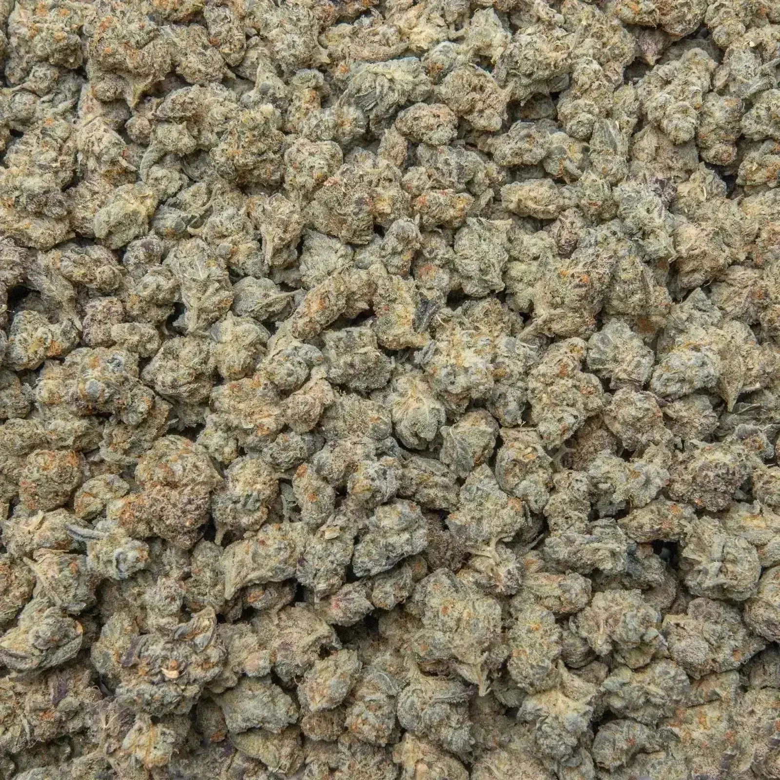 Guava THCa Flower Ounce - Image 6