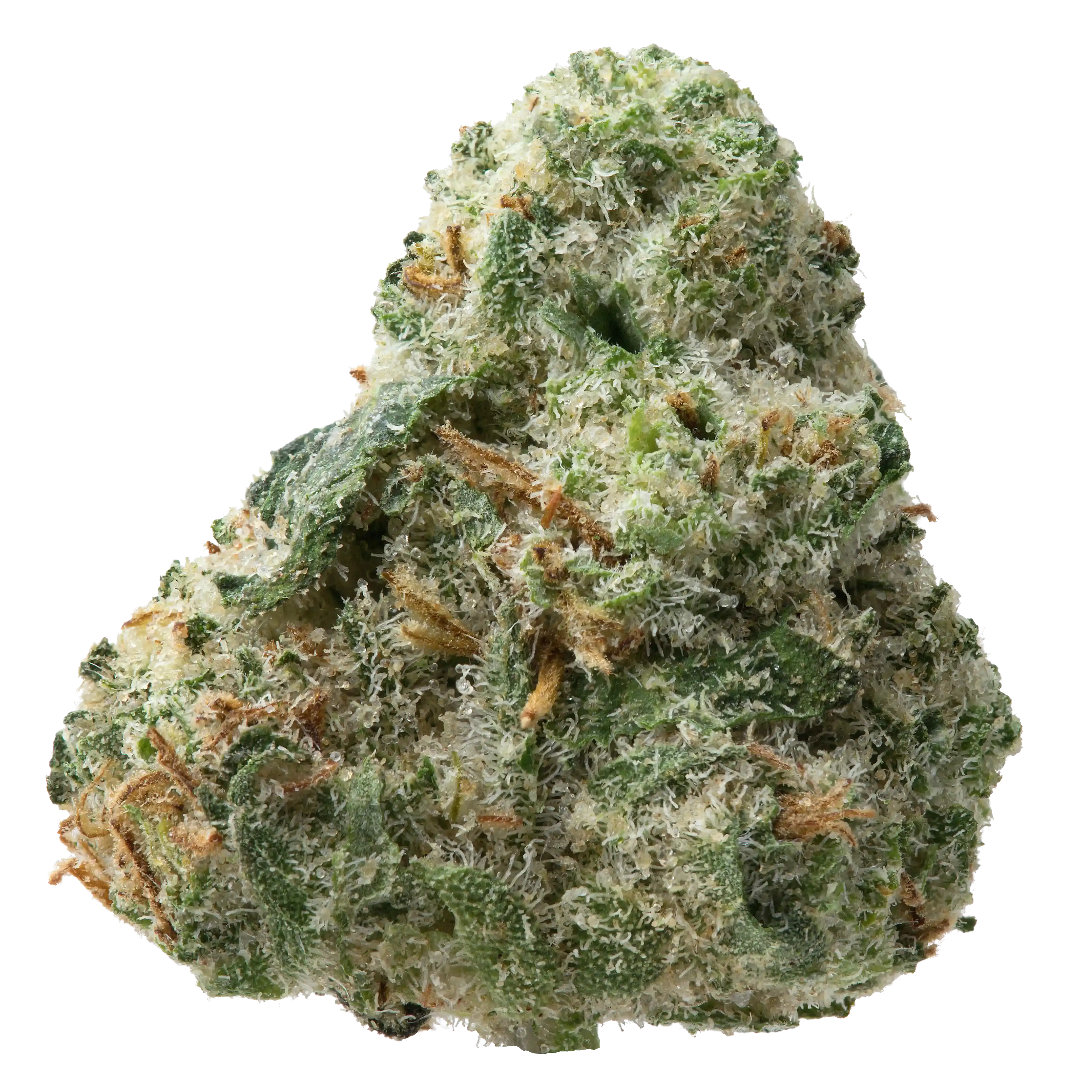 Jack Herer THCa Flower - Image 2