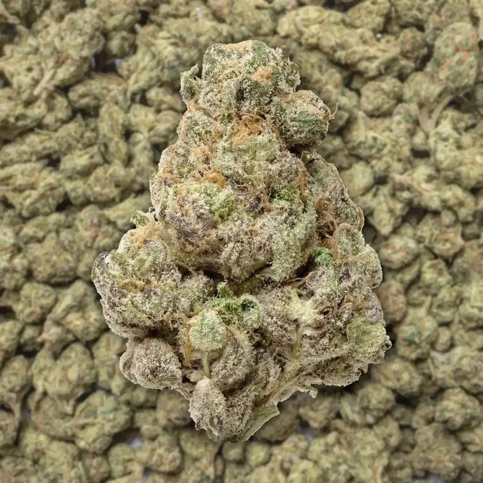 Lemon Cherry Gelato THCa Flower - Image 2