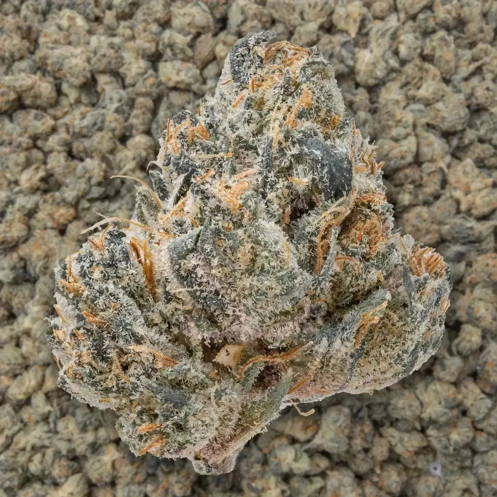 Lip Smacker Smalls THCa Flower Ounce - Image 3