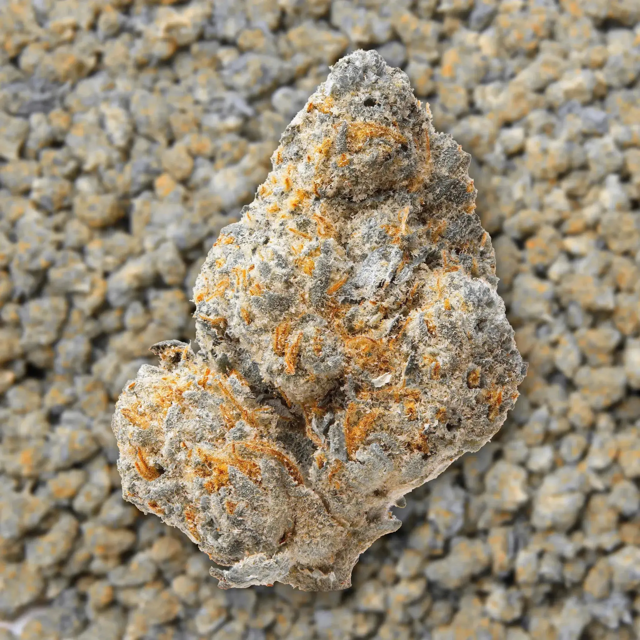 Northern Lights Smalls THCa Flower Ounce - Image 3