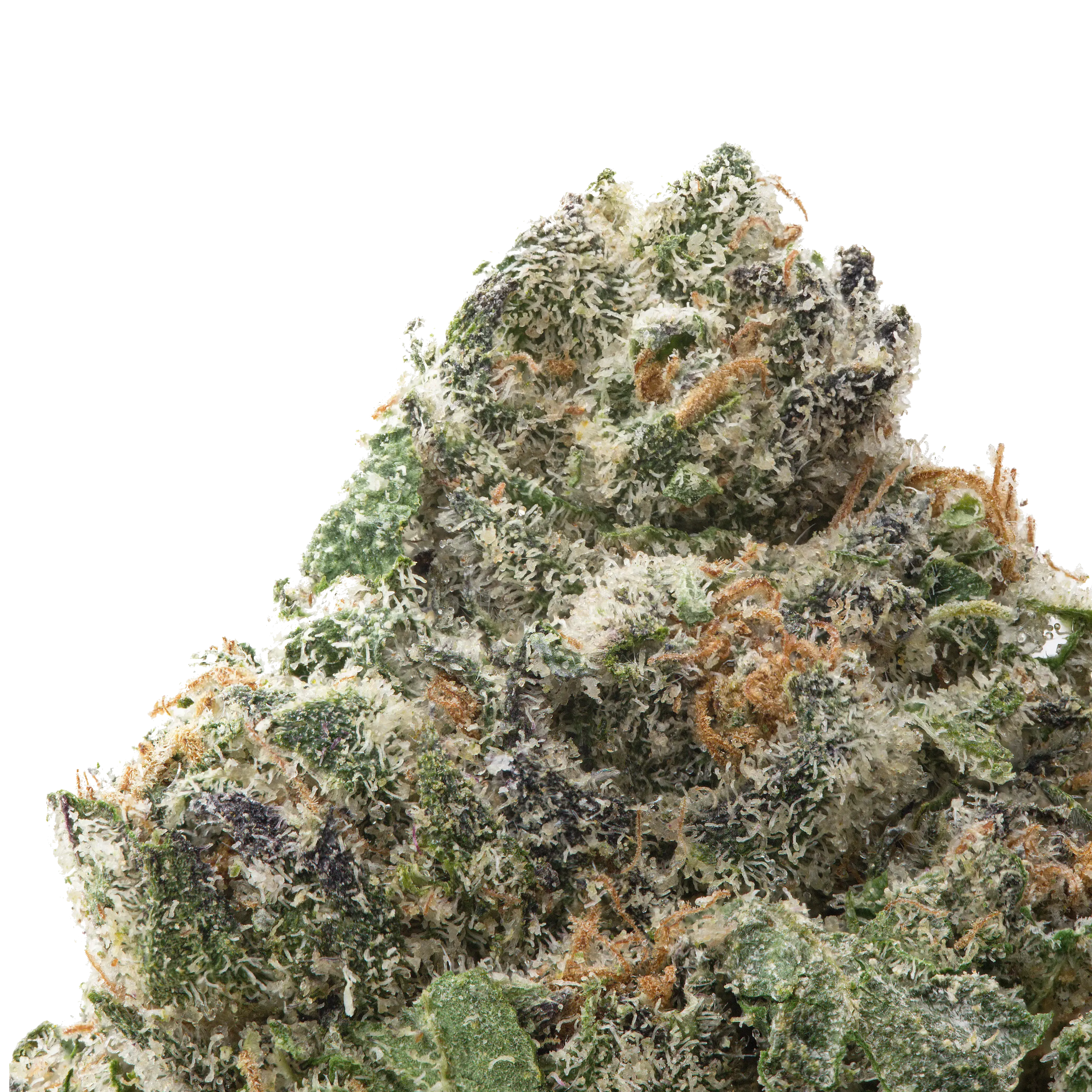 Pineapple Express THCa Flower Ounce - Image 2