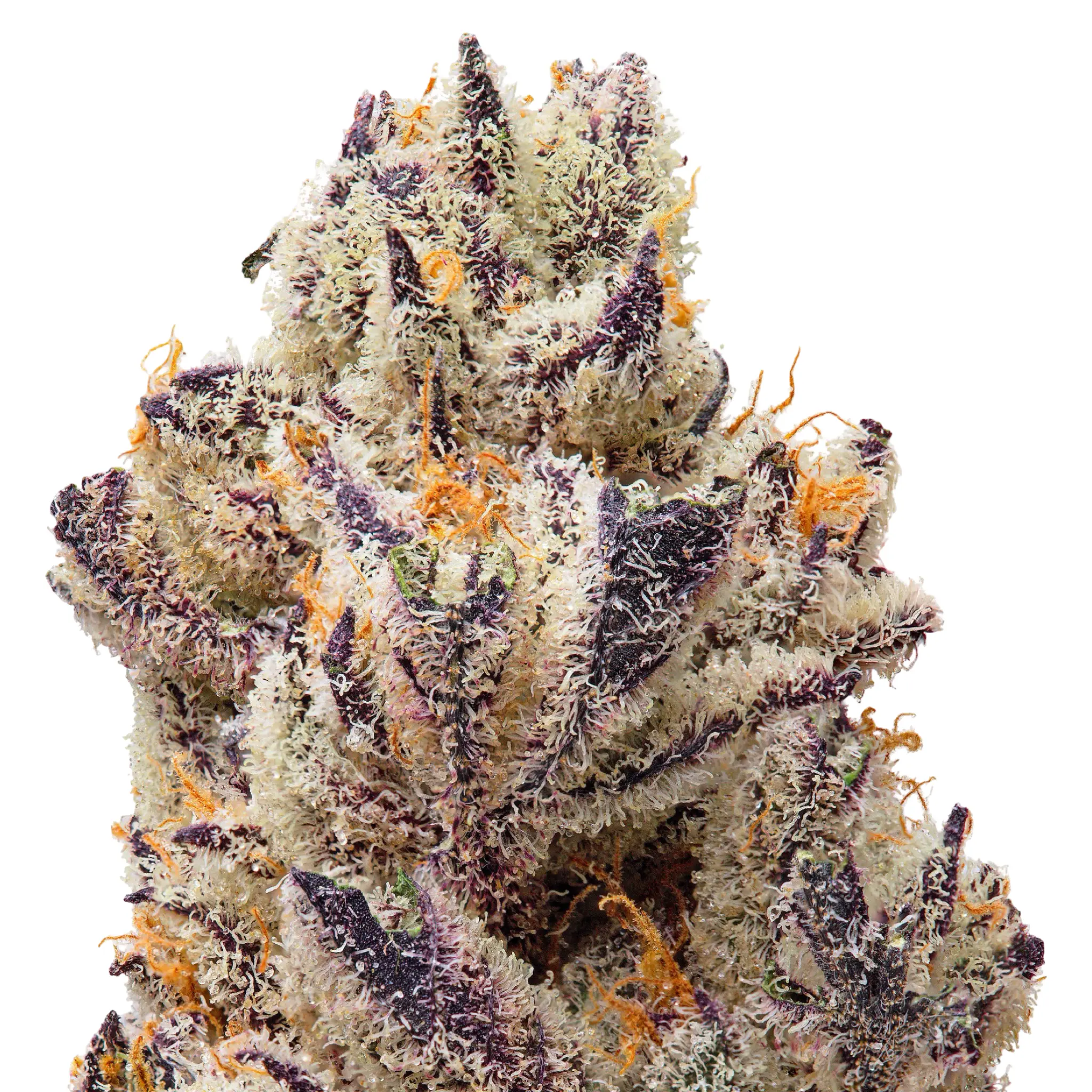 THCa Flower Sampler - Image 3