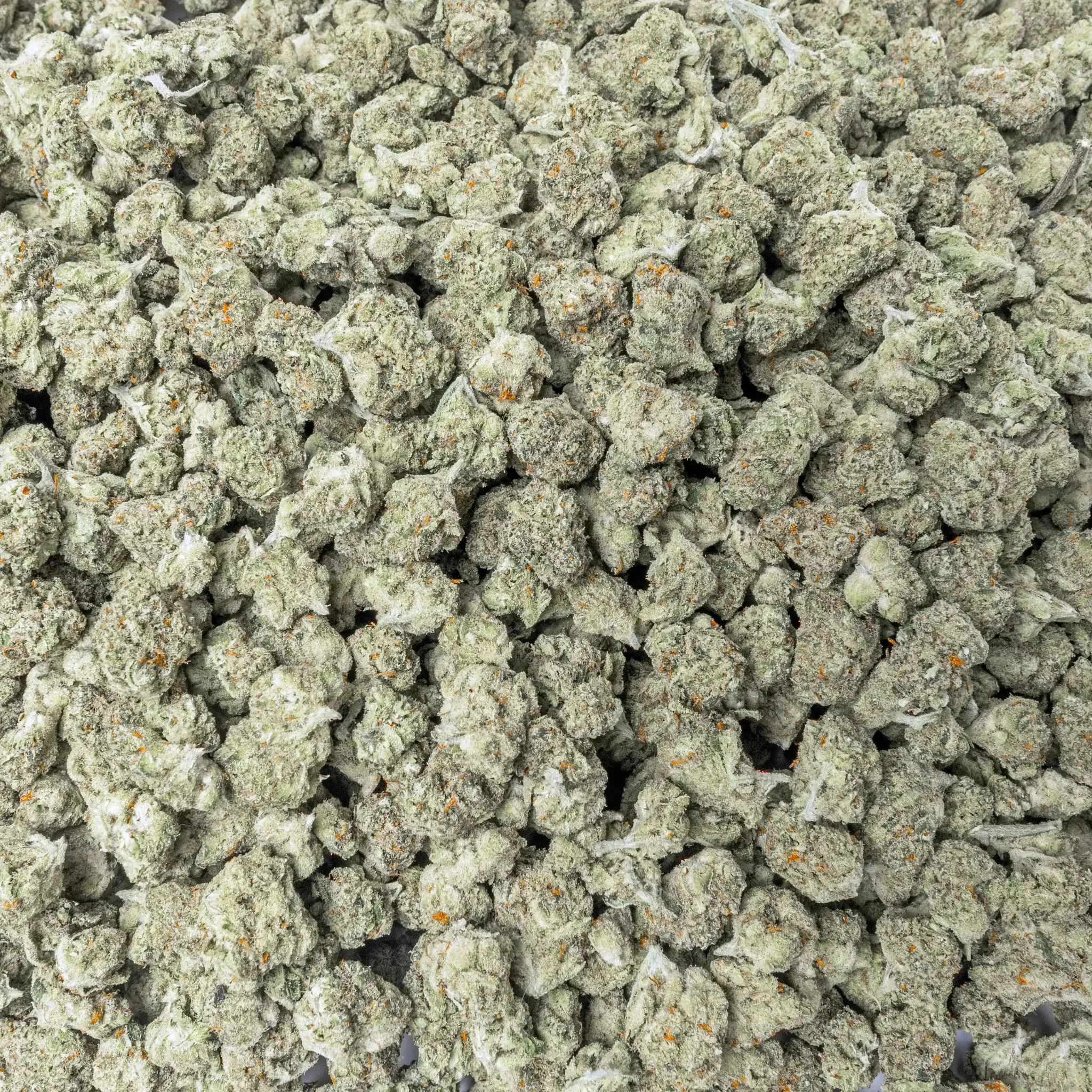 Ounce Deal Bags THCa Flower - Image 4
