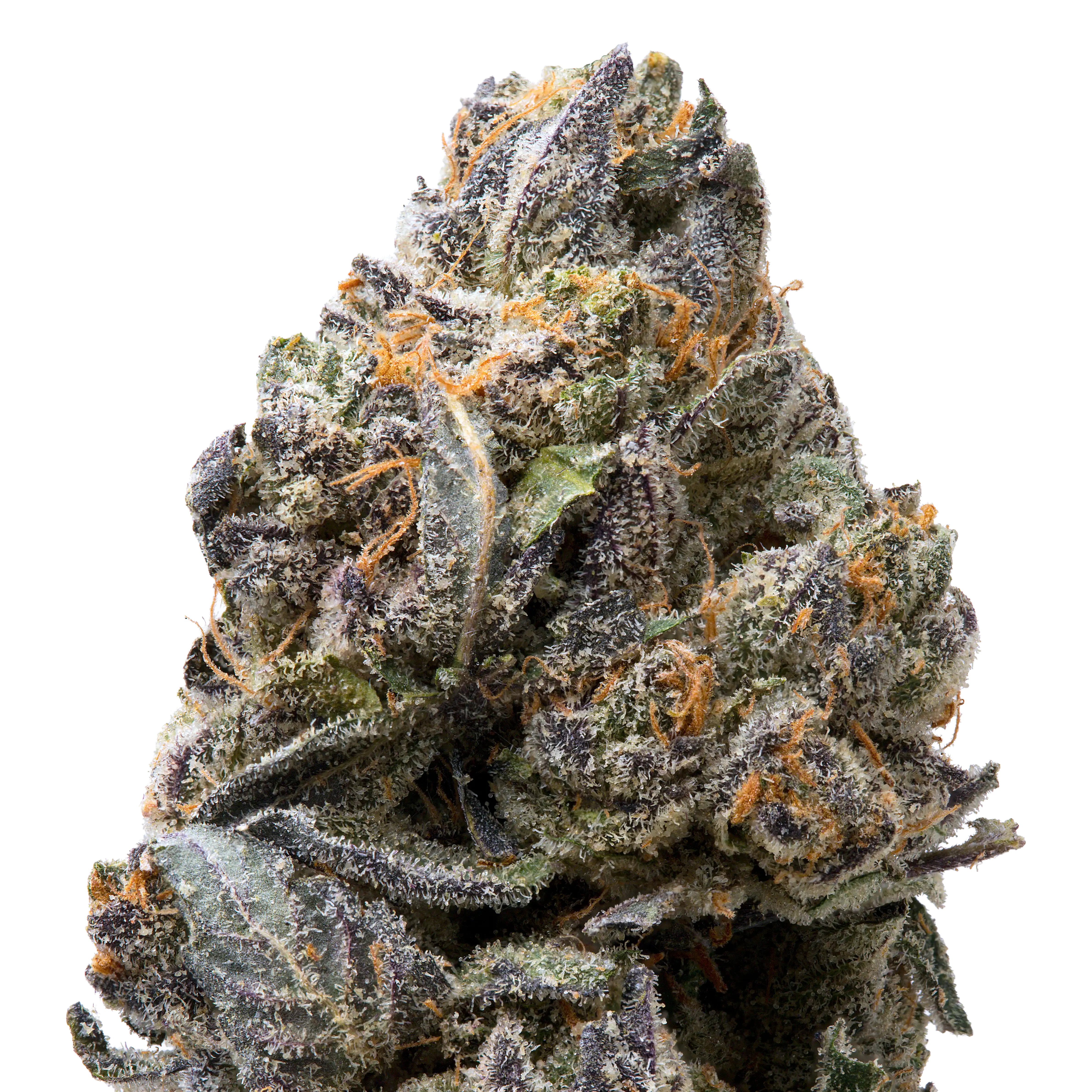 Tropical Gelato THCa Flower Ounce