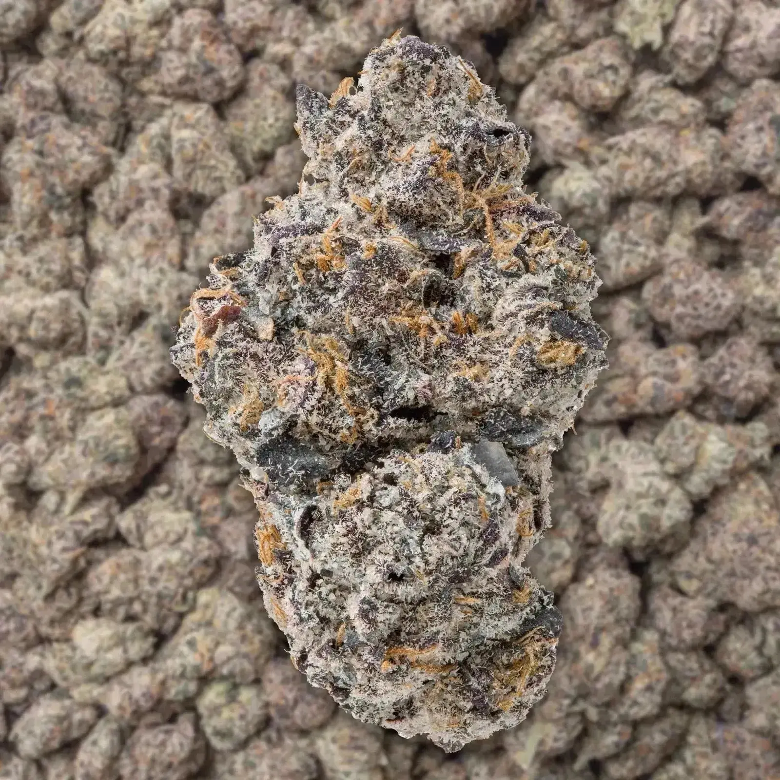 Uncle Snoop THCa Flower Ounce - Image 3